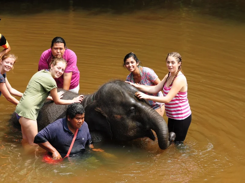 Joyful Elephant Bathing Session: "Happy faces as travelers participate in a refreshing elephant bathing session, a heartwarming activity at the sanctuary."