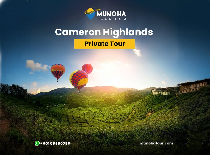 Tourists exploring the lush tea plantations and cool climate during Cameron Highlands tour, with scenic views and vibrant flower gardens.