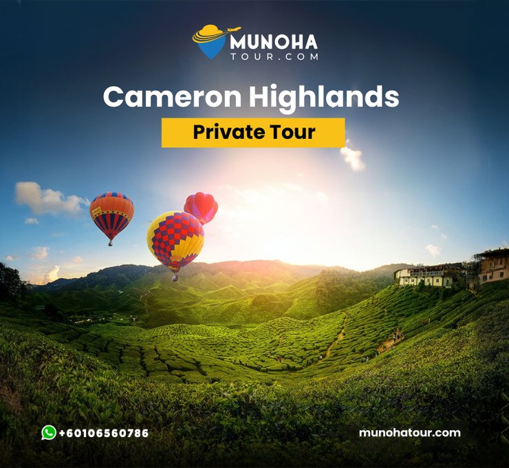 Tourists exploring the lush tea plantations and cool climate during Cameron Highlands tour, with scenic views and vibrant flower gardens.