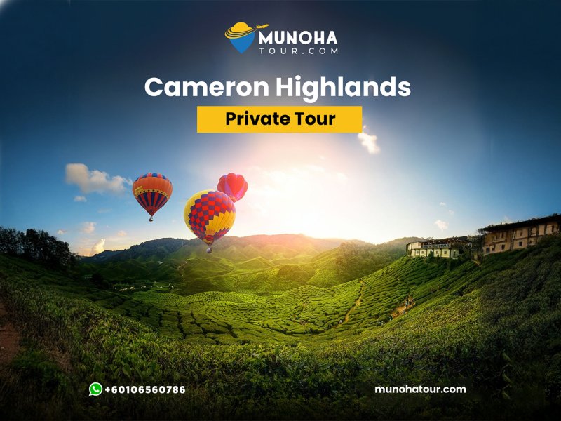 Tourists exploring the lush tea plantations and cool climate during Cameron Highlands tour, with scenic views and vibrant flower gardens.