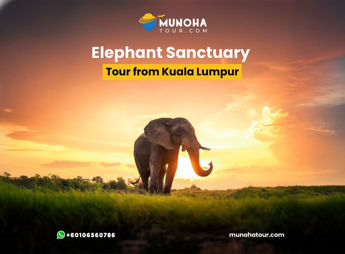 Elephant Riding Experience: "Thrilled guests savoring a memorable elephant ride, creating unforgettable memories at Elephant Sanctuary Kuala Gandah."