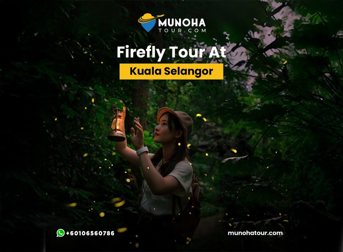 Visitors marveling at the mesmerizing display of fireflies illuminating the mangrove forest during a night boat fireflies watching tour.