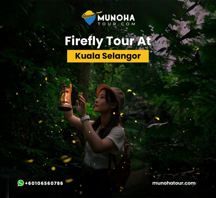 Visitors marveling at the mesmerizing display of fireflies illuminating the mangrove forest during a night boat fireflies watching tour.